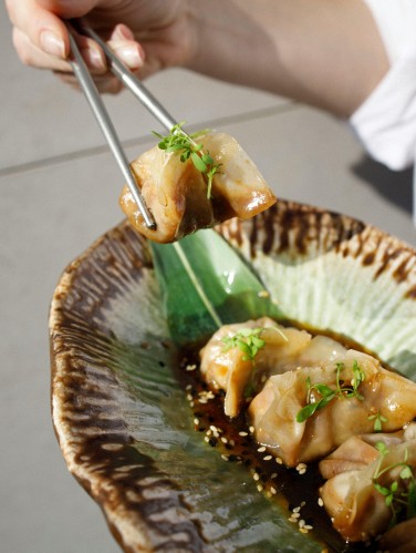 Gyoza koldūnai su daržovėmis