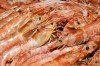 Argentininės raudonosios krevetės L2, 21/30, su galva, su kiautu, 12 kg, šaldytos
